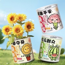  易拉罐盆栽